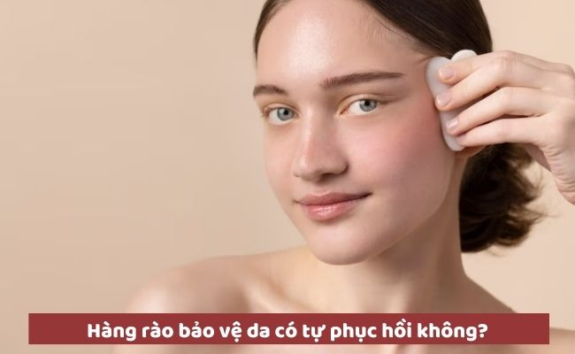 Hàng rào bảo vệ da có tự phục hồi không?