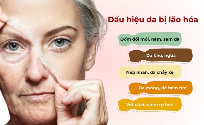 Dấu hiệu nhận biết da bị lão hóa
