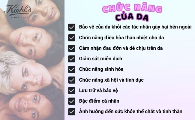 Làn da thực hiện các chức năng như bài tiết, bảo vệ da, cảm giác và nhận diện khác