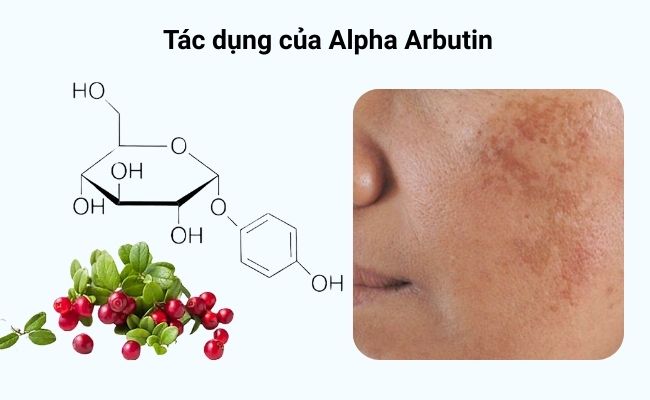Công dụng của Alpha Arbutin