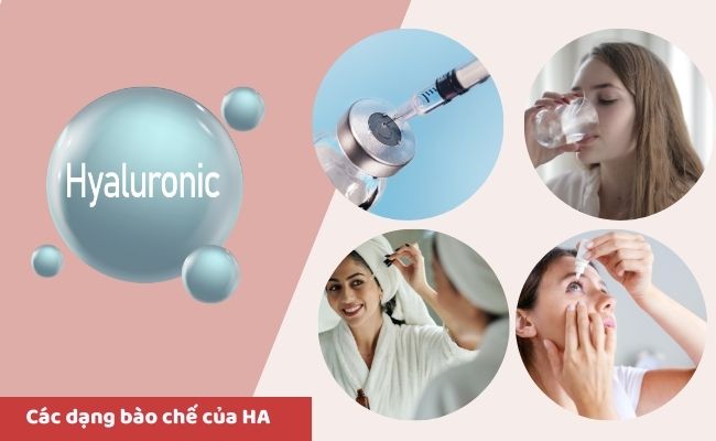Các dạng bào chế của HA