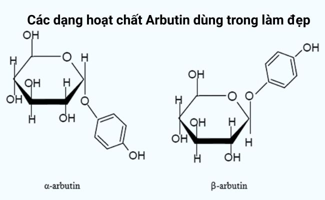 Các dạng hoạt chất Arbutin dùng trong làm đẹp